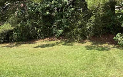 Photo of Cindy D.'s yard after getting lawn care in Hendersonville, NC