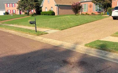Photo of Aimee T.'s yard after getting lawn care in Wyandotte, MI