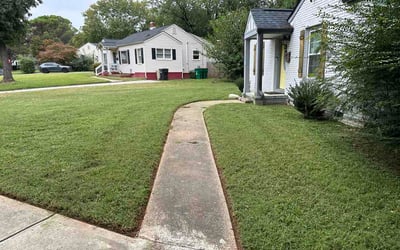 Photo of Sidney L.'s yard after getting lawn care in Richmond, VA