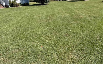 Photo of John R.'s yard after getting lawn care in Avon, CT