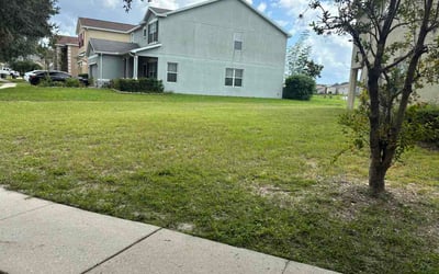 Photo of Gregory K.'s yard after getting lawn care in Taylors, SC