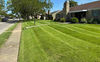 Photo of David L.'s yard after getting lawn care in Nashville, TN