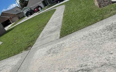 Photo of Valerie C.'s yard after getting lawn care in Longmont, CO