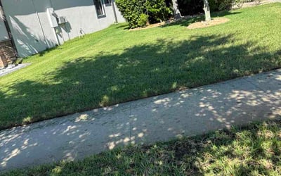 Photo of Anthony C.'s yard after getting lawn care in Pickens, SC