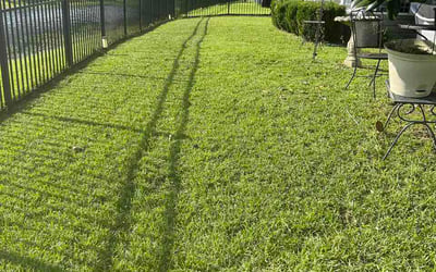 Photo of Jessica J.'s yard after getting lawn care in Orchard Park, NY