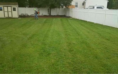 Photo of Kaleb F.'s yard after getting lawn care in Austin, TX