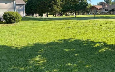 Photo of Karen B.'s yard after getting lawn care in Edwardsville, IL