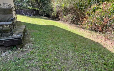 Photo of Cyndi W.'s yard after getting lawn care in Scotch Plains, NJ