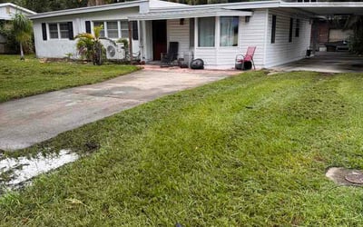 Photo of Elizabeth M.'s yard after getting lawn care in Williamsport, PA