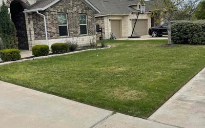 Photo of Stephen R.'s yard after getting lawn care in Bastrop, TX