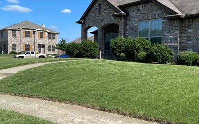 Photo of Jose F.'s yard after getting lawn care in Lancaster, TX