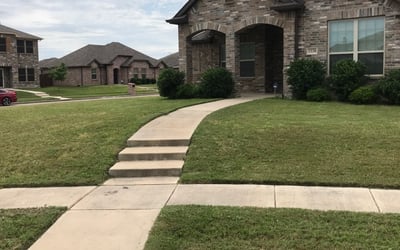 Photo of Chris F.'s yard after getting lawn care in Lancaster, TX