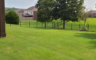 Photo of Aaron k.'s yard after getting lawn care in Lebanon, TN