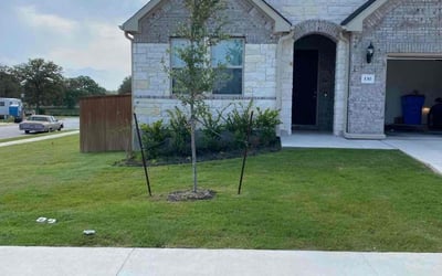 Photo of Tina B.'s yard after getting lawn care in Bastrop, TX
