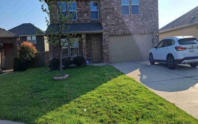 Photo of Stacey M.'s yard after getting lawn care in Elgin, TX