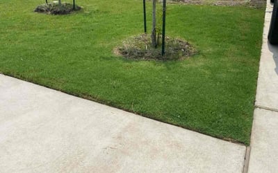 Photo of Larry T.'s yard after getting lawn care in Elgin, TX