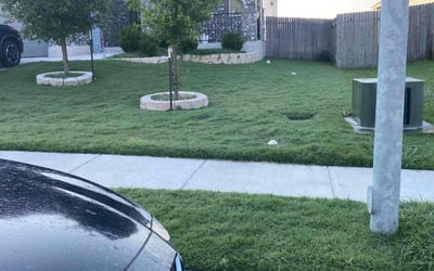 Photo of Dean H.'s yard after getting lawn care in Elgin, TX