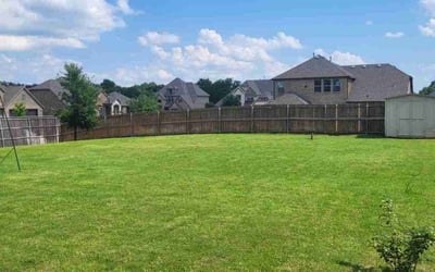 Photo of Sherry T.'s yard after getting lawn care in Wylie, TX