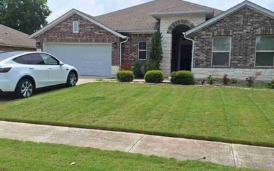 Photo of David W.'s yard after getting lawn care in Bastrop, TX