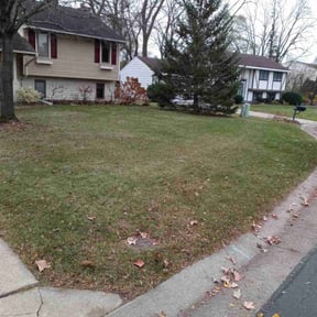 Cleanups by Lawncare reviewed on June 30, 2025