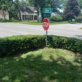 Bush Trimming by PNC Delivery Express reviewed on October 3, 2024