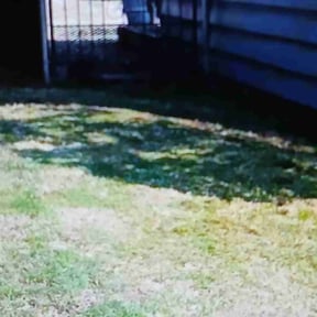Flower Bed Weeding by All-in lawns reviewed on May 10, 2022