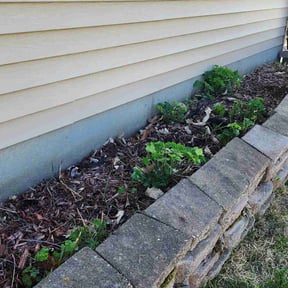 Flower Bed Weeding by We Do Grass Lawncare reviewed on June 12, 2022