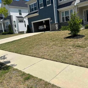 Flower Bed Weeding by Nicks 20/20 lawn care reviewed on June 28, 2022