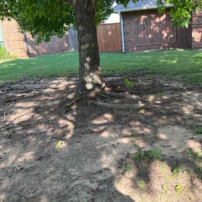 Leaf Removal by Oklahoma's Best Lawn Care reviewed on July 9, 2022