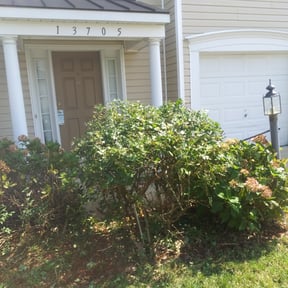Bush Trimming by TruGreen LawnCare reviewed on June 28, 2025