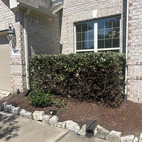 Bush Trimming by Perry Family Maintenance LLC reviewed on October 1, 2024