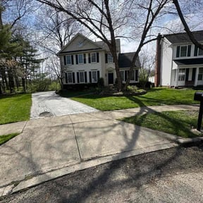 Leaf Removal by Prolific Property Services reviewed on July 22, 2022