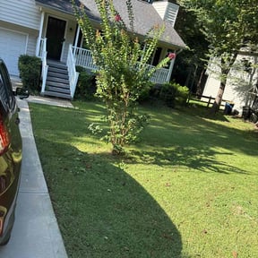 Bush Trimming by Thor&#039;s Chores Mowing Plus reviewed on August 17, 2024