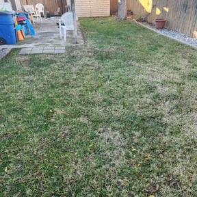 Leaf Removal by Mr G's HandyMan & Lawn pro.service reviewed on May 20, 2022