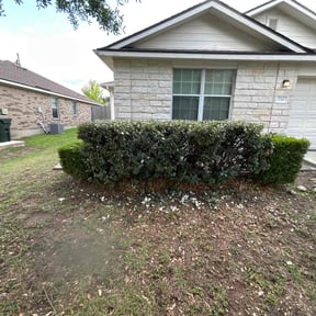 Bush Trimming by X&G Lawn Care Services and More reviewed on May 13, 2022