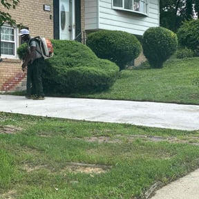 Bush Trimming by CRP Landscape reviewed on October 5, 2024