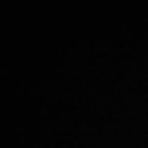 Cleanups by Perfect image lawn service of Georgia reviewed on March 14, 2025