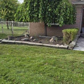Leaf Removal by Mow & Go reviewed on June 9, 2022