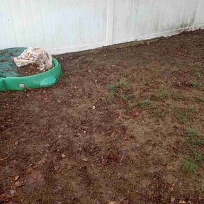 Leaf Removal by M&M Lawn Service reviewed on June 23, 2022