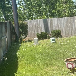 Bush Trimming by I4-75-95 connections LLC reviewed on June 13, 2022