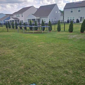 Weeding by Custom Cuts Lawn Care reviewed on July 27, 2022