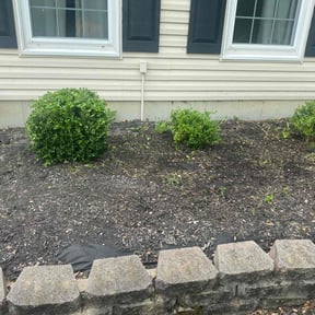 Bush Trimming by Landscape Pros of Oklahoma reviewed on May 14, 2022