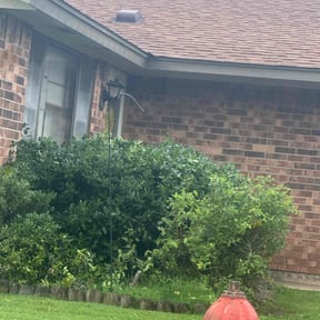 Bush Trimming by Sharp Cuts Lawn Service reviewed on April 27, 2021