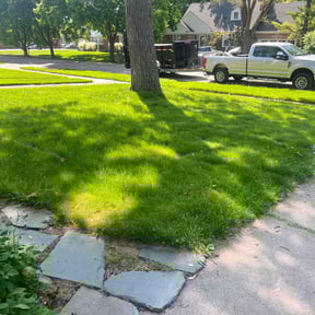Cleanups by Elite Landscaping reviewed on June 29, 2022