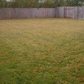 Cleanups by K.M.W. Lawn Services &amp; Logistics LLC reviewed on February 25, 2025