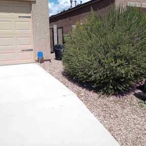 Bush Trimming by Mighty Maverick Lawn Heroes and Landscaping reviewed on April 7, 2023
