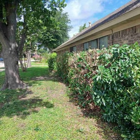 Bush Trimming by L&M landscaping reviewed on September 11, 2020