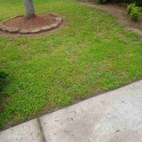 Lawn Seeding by Terrence Wilburn ( TW Enterprise) reviewed on June 28, 2022