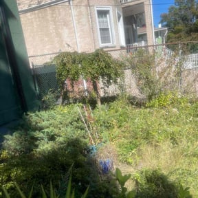 Bush Trimming by Gary Wright landscaping reviewed on April 20, 2022