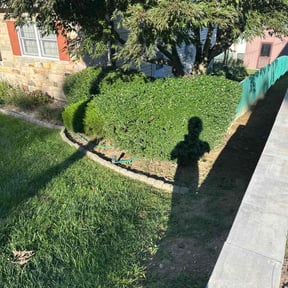 Bush Trimming by Cari lawn care reviewed on September 30, 2021